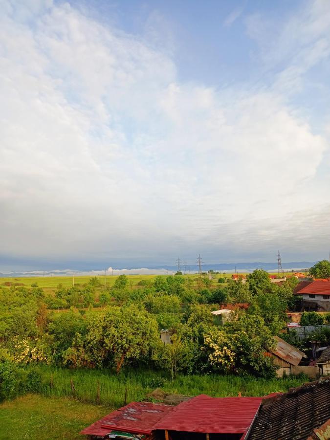 Casa Edental Hotel Orăştie Buitenkant foto